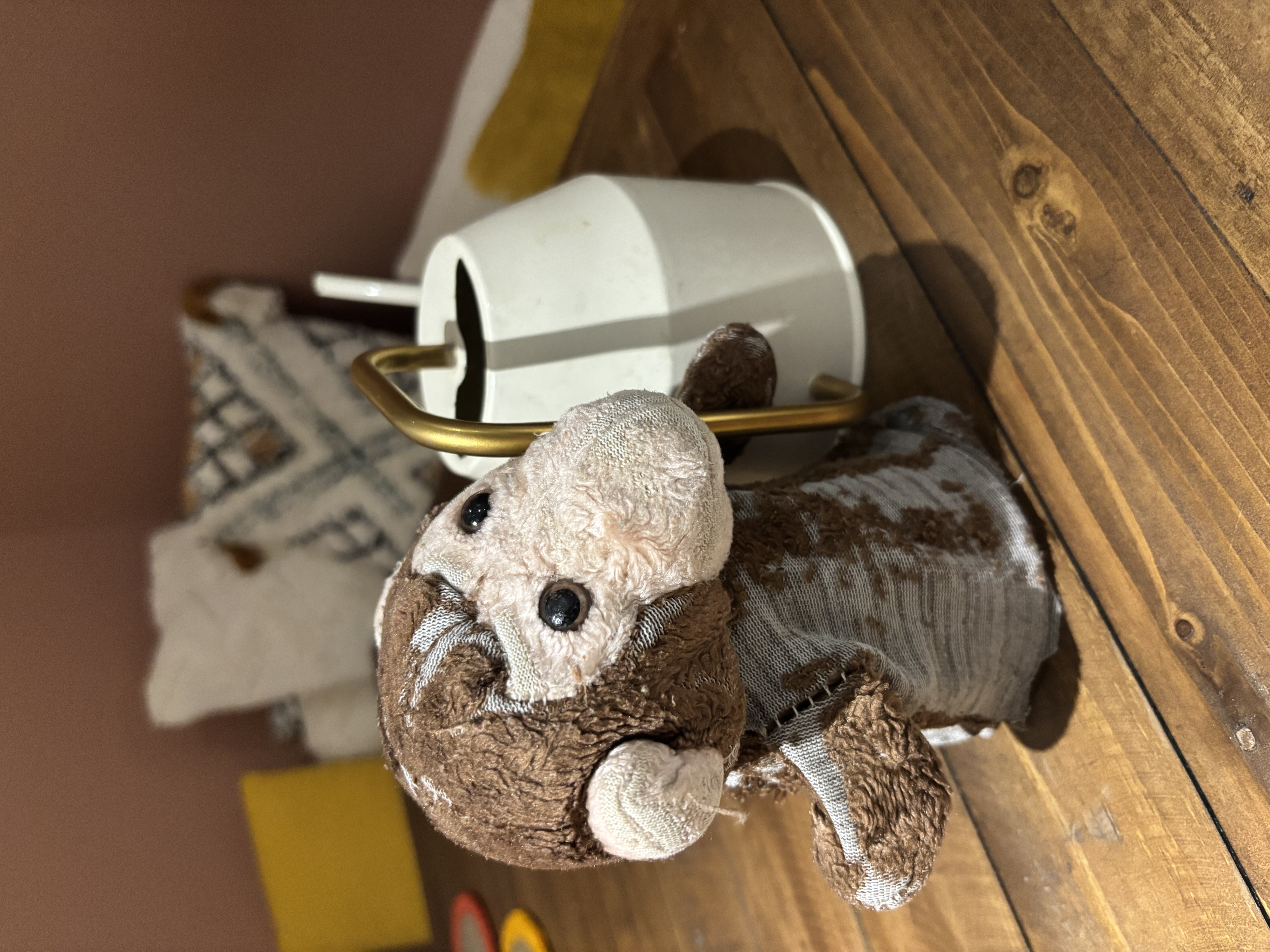 Softy helping with chores